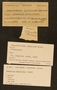 UC  35647 Label